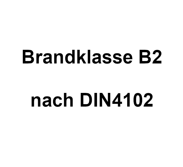 B2